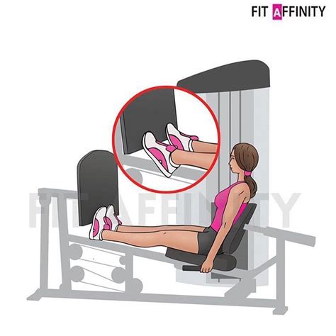 As such, for those who want to target their leg muscles right away, without the technical barrier of the squat, the leg press should be the lift you. Calf Raise on leg press - Muscles Worked: Calves - Using a ...