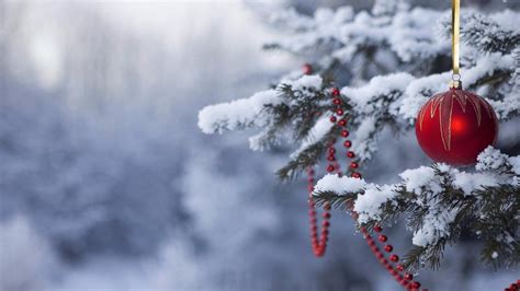 Snowy Christmas Wallpapers Top Free Snowy Christmas Backgrounds