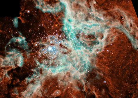 Tarantula Nebulas Star Filled Web