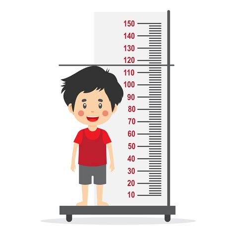 Height Measurement Vector Art, Icons, and Graphics for Free Download