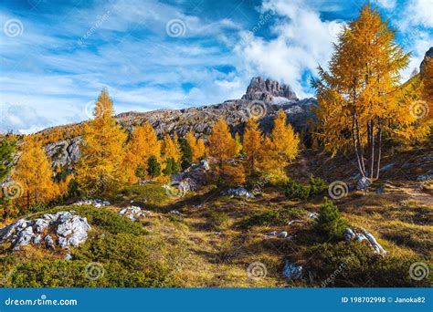 Autumn Scenery With Colorful Larch Trees In The Dolomites Italy Stock