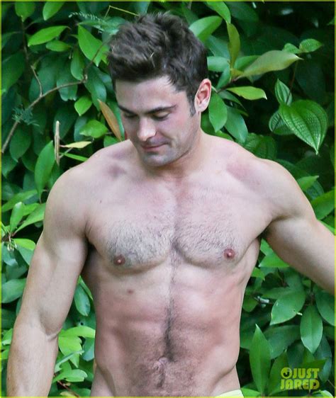 Zac Efron Goes Shirtless In Hawaii Is More Ripped Than Ever Photo Shirtless Zac