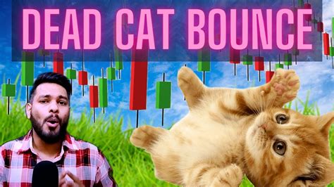 Identify False Breakout Paid Trading Masterclass Dead Cat Bounce Technical Analysis Course