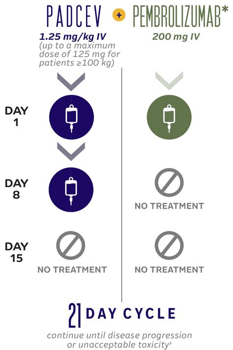 Padcev® Enfortumab Vedotin Ejfv Dosing And Administration