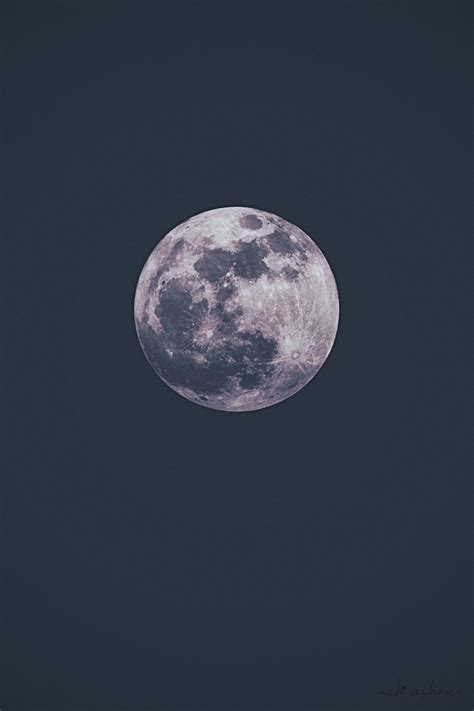 #blue-moon on Tumblr