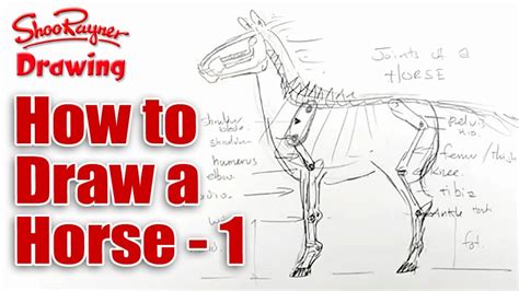 Just a few extra details make him look pretty realistic. How to draw Horses - Lesson 1 - The Skeleton - Spoken ...