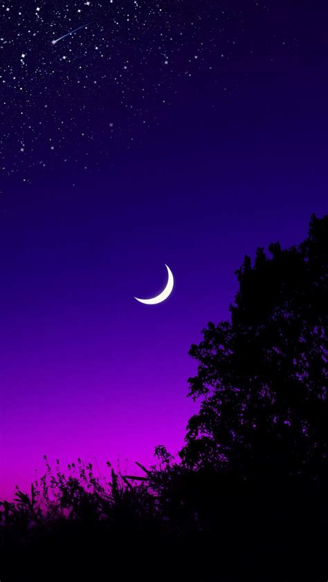 Download Wallpaper 938x1668 Moon Tree Starry Sky Night Stars Dark