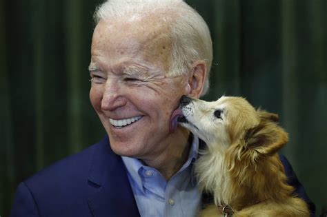Joe biden has an instagram account for his dogs, and they just posted pictures of them using the so the claims that biden posted the photographs, or the instagram account for biden's dogs did likewise. Doctor says Biden fractured foot while playing with his dog | The Times of Israel