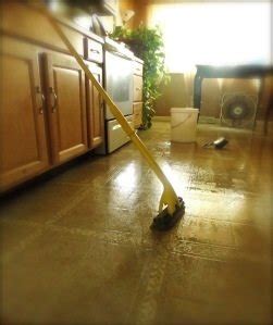 Keep this in mind when you purchase cleaners for your floor. How to Clean Vinyl Flooring - Bob Vila