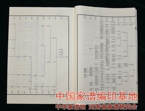 The site owner hides the web page description. 新乡市封丘县陶北徐氏宗谱【五卷】_家谱编印基地