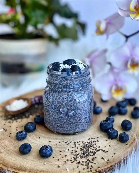 Blueberry Chia Seed Pudding Dietetic Directions Dietitian Recipe