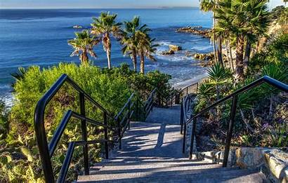 Laguna Beach California Palm Stairs Coast Wallpapers