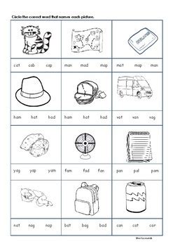 Cvc Short Vowel A Worksheet By Jannah Teachers Pay Teachers