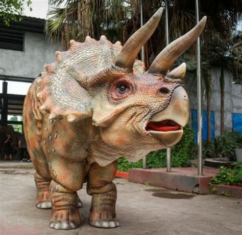 Hire A Triceratops Hire Dinosaurs Uk