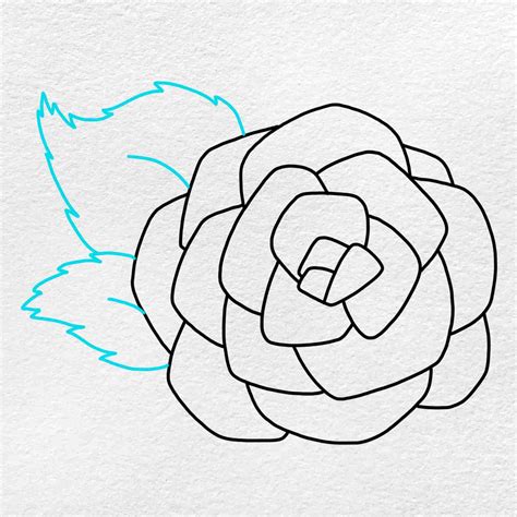 How To Draw A Rose For Beginners Helloartsy