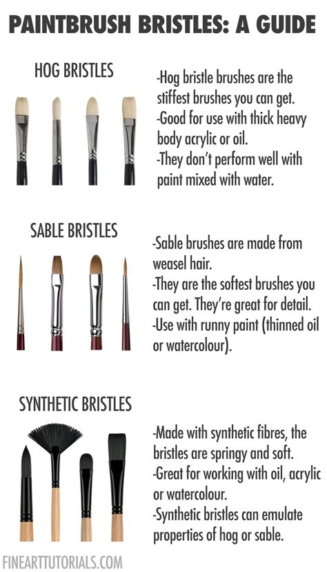 Paintbrush Types Paintbrush Bristle Fibres In 2021 Art Tools Drawing