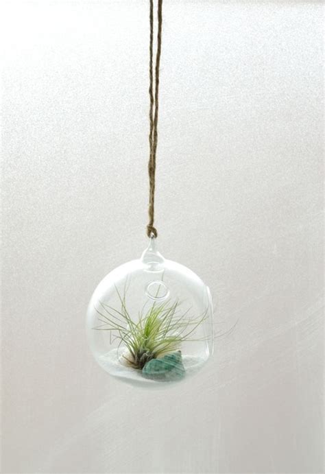Great T For Plants Lovers Planters Air Plant Hanging Terrarium Kit A Unique Product By
