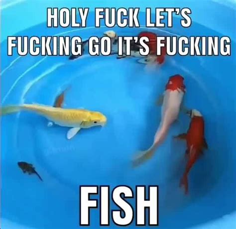 Holy Fuck Let S Fucking Go It S Fucking Fish Ifunny