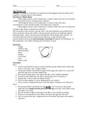 This experiment requires several days to complete, so start early in the week. Egg Osmosis Lab (PDF) - Name Noah Butler Egg Osmosis Lab Purpose The purpose of this lab is to ...