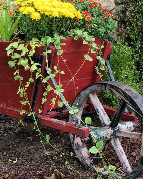 We did not find results for: Old Wheelbarrow with Fall Flowers | Content in a Cottage