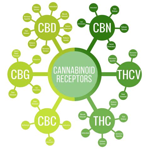 Weedlist Articles About Cannabis Cbd Terpenes Learn About The