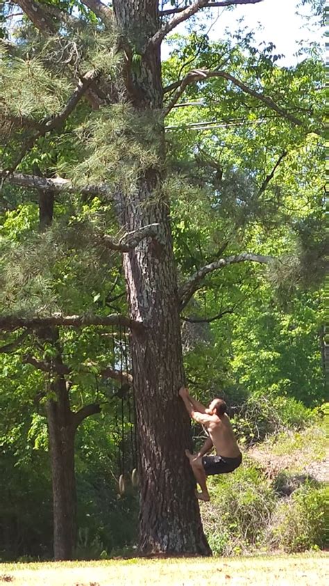 Finally Started Tree Climbing Barefoot Actually Feels More Secure