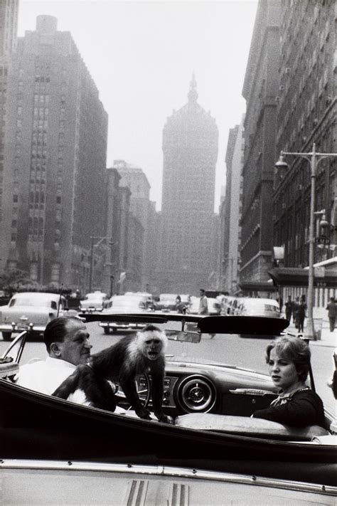 Garry Winogrand ‘park Avenue New York 1959 Photographs 2020
