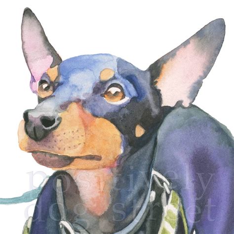 Toy Manchester Terrier Fine Art Print Of Original Watercolor Etsy