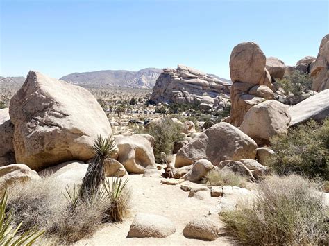 Hidden Valley Joshua Tree • A Passion And A Passport