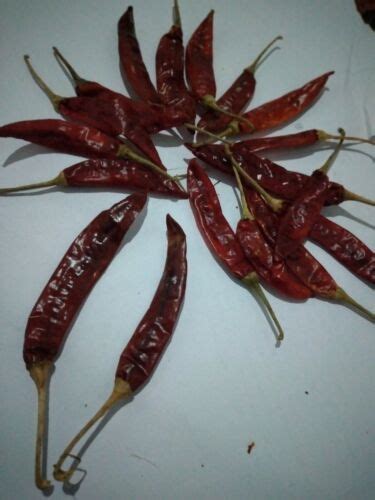 Sri Lanka Mathania Red Chilli Wholedried Chilli Ebay