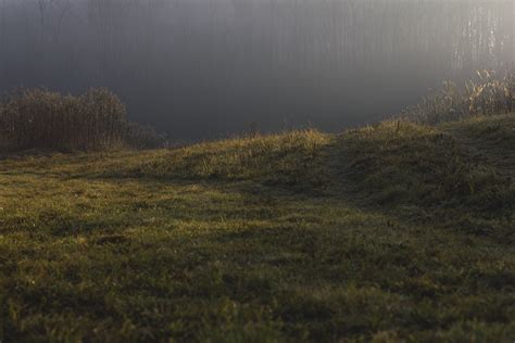 Free Images Landscape Tree Nature Forest Path Grass Marsh