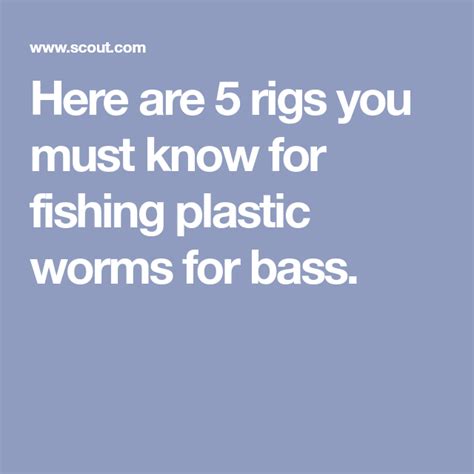 Here Are Rigs You Must Know For Fishing Plastic Worms For Bass