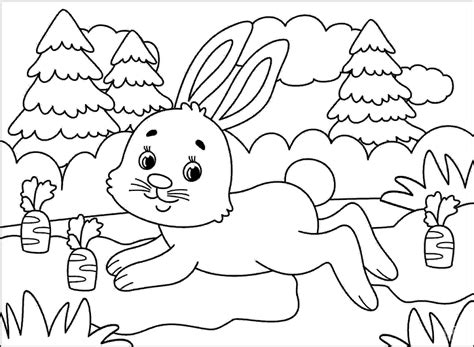 Bunny With A Lot Of Carrots In The Forest Coloring Page Free