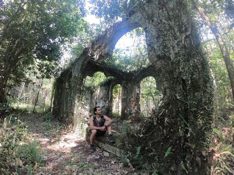 Conheça As Belezas Do Parque Natural Municipal De Nova Iguaçu