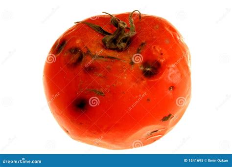 Rotten Tomatoe