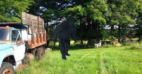 The Crypto Crew New Bigfoot Sighting Report From New Hampshire