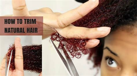 Diy How To Cut Natural Hair Reduce Breakage And Single Strand Knots