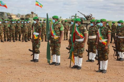 Ethiopian Troops Awarded Au Medals For Contributing To Peace And