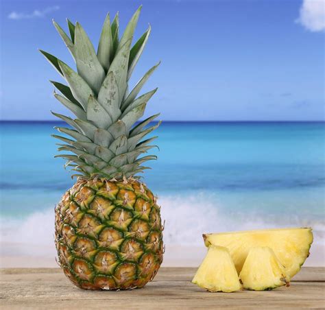 Curious Questions Why Are Pineapples Called Pineapples When Theyre