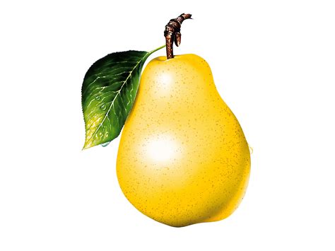 Free Pear Cliparts Download Free Pear Cliparts Png Images Free