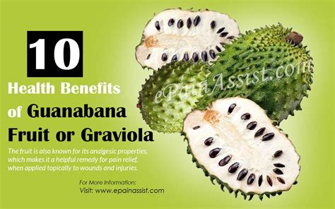 Some describe the taste as a mix of pineapple and mango! 10 Health Benefits of Guanabana Fruit or Graviola (Soursop ...