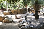 See unusual animals at the Taronga Zoo in Sydney, Australia