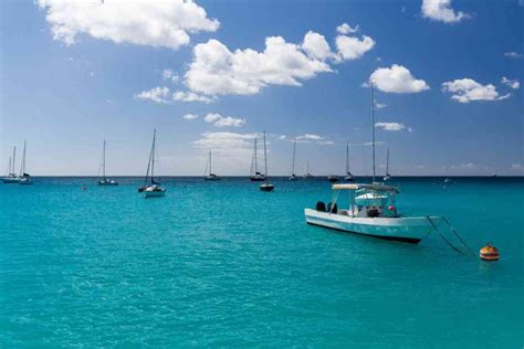 the 6 best beaches and shores for snorkeling in barbados addicted to vacation