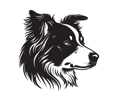 Border Collie Face Silhouette Dog Face Black And White Border Collie