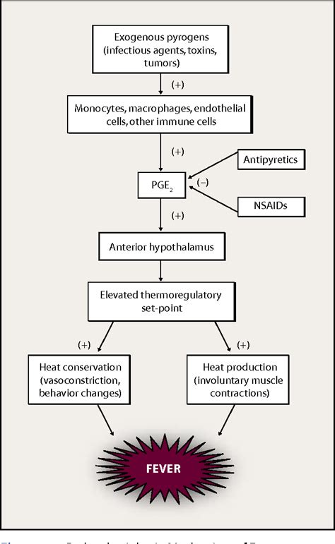 Figure 1 From Pathophysiology And Management Of Fever Semantic Scholar