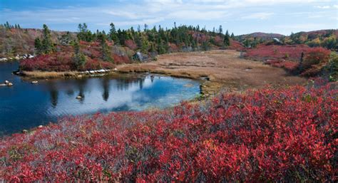 Nova Scotia Nature Trust Celebrating 25 Years Of Conservation