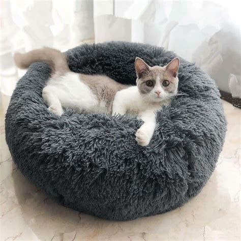 Cozy Calming Bed For Cats Alpha Paw