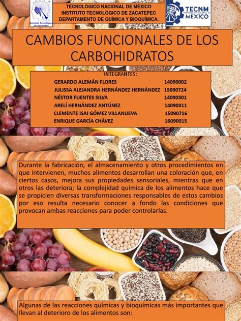 Cambios Funcionales De Los Carbohidratos Pdf Ácido Carbohidratos