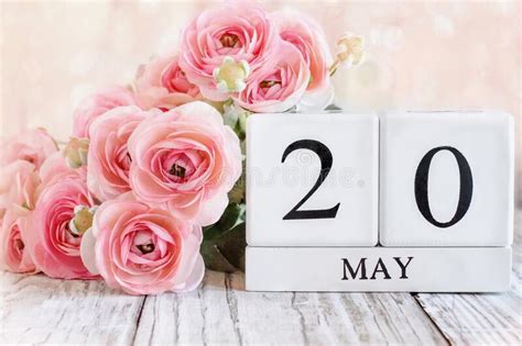 May 20th Calendar Blocks With Pink Ranunculus Stock Image Image Of