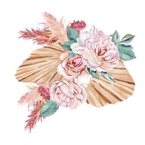 Boho Pampas Roses Watercolor Stock Illustrations 183 Boho Pampas